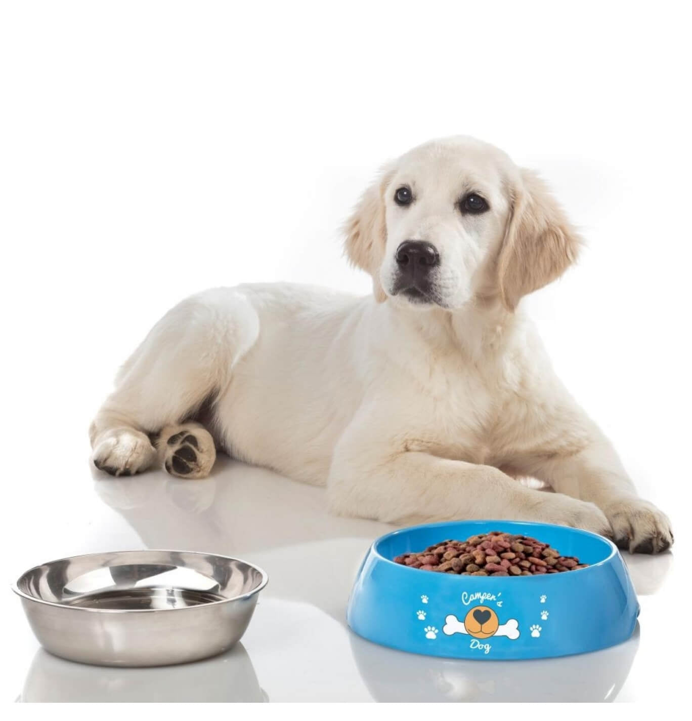 Brunner Hungry Dog Bowl Image